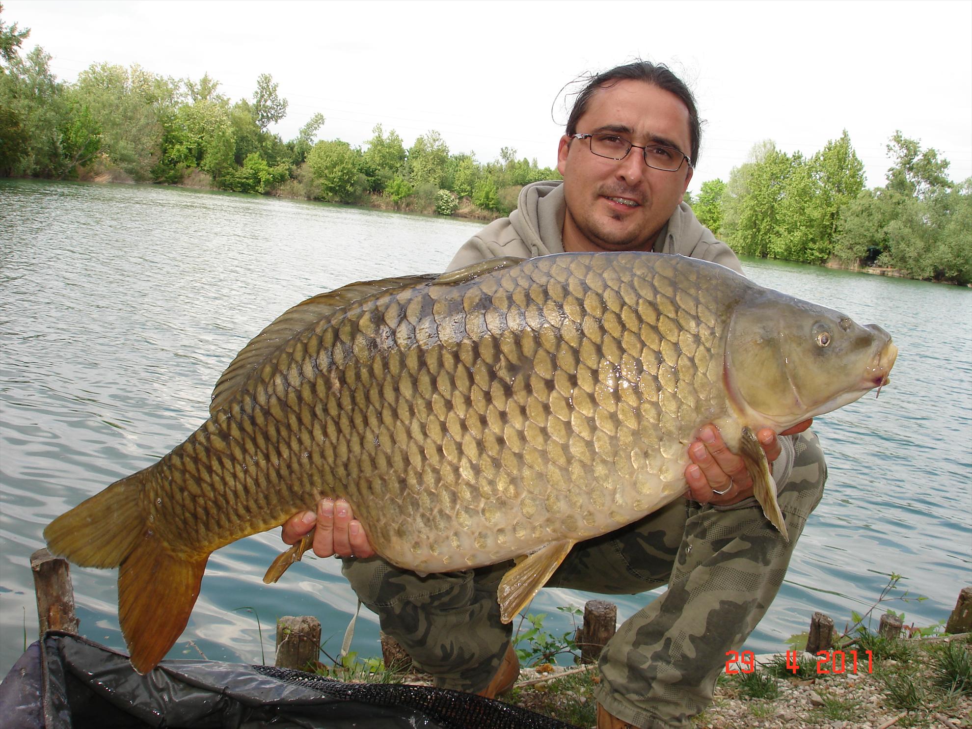 THE BIGS OF 2011 - p1000096.JPG